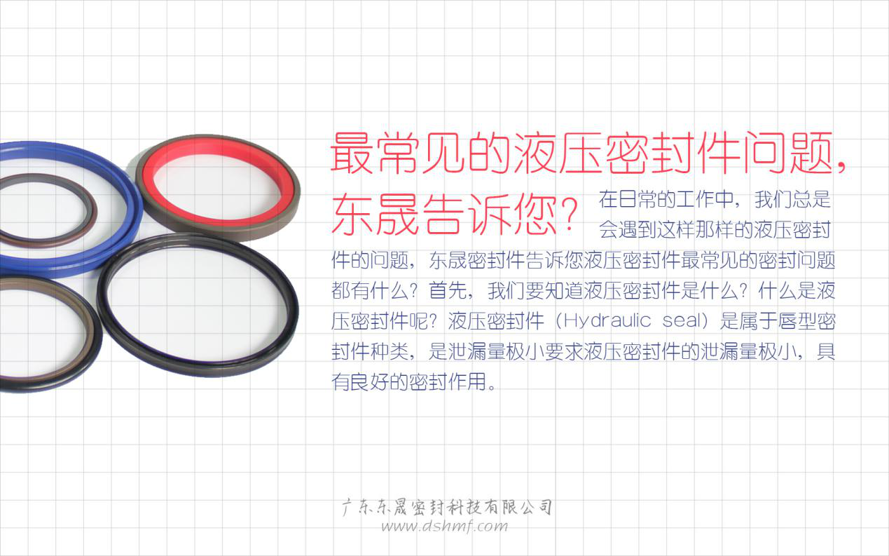 （二）液壓密封件的常見問題解答？