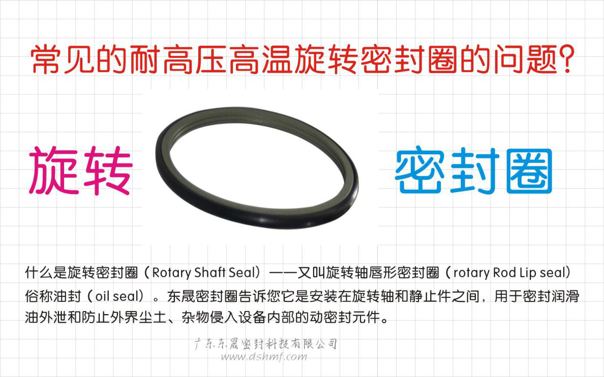 常見的耐高壓高溫旋轉(zhuǎn)密封圈的問題？之四