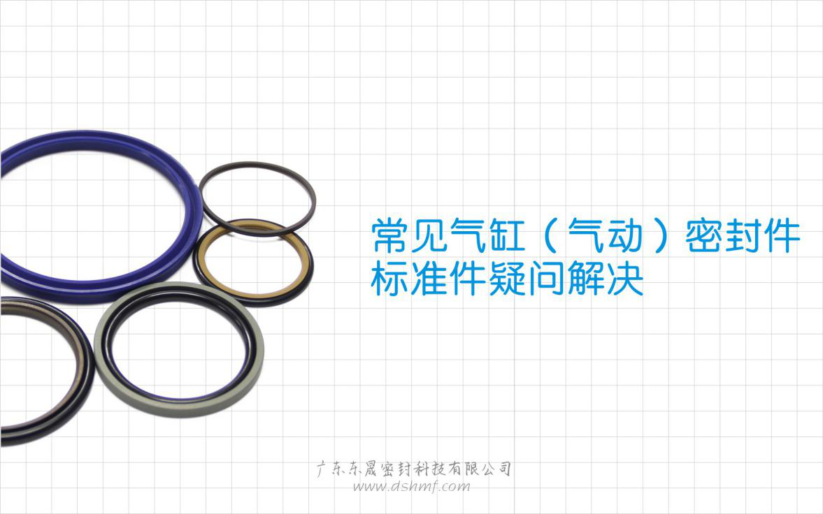 常見氣缸（氣動）密封件標(biāo)準(zhǔn)件疑問解決？