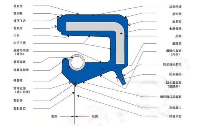 內(nèi)包骨架油封各部位主要名稱和術語圖