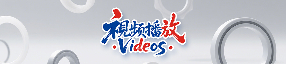 東晟密封五周年慶之魔術(shù)師小劉謙丹尼的魔術(shù)表演