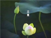 立夏已至，萬物向陽；